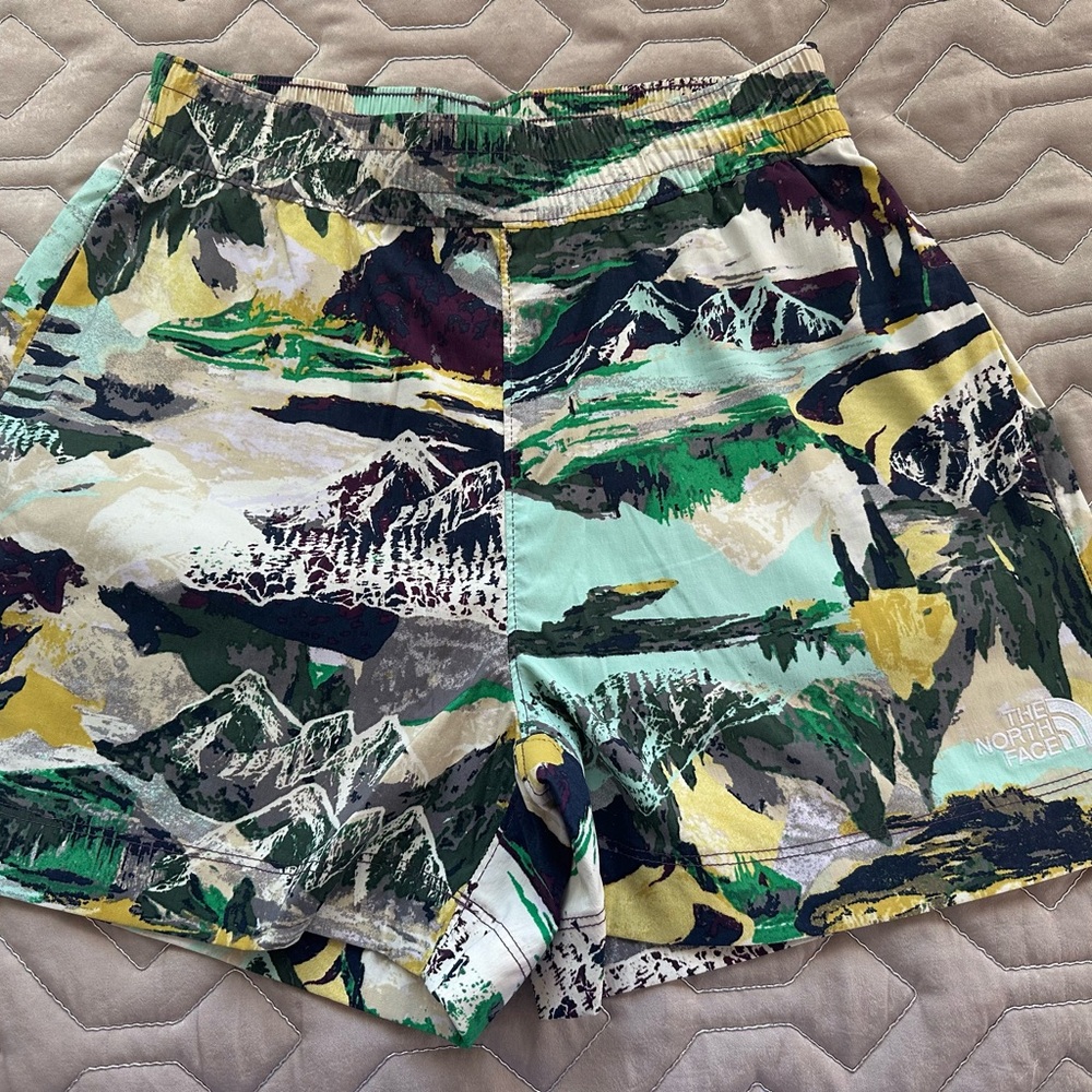 🆕The North Face Easy Wind Currant Graphic Shorts